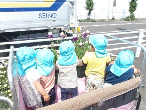 草花発見、観光ツアー。【そらぐみ】